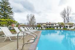 Silverado Resort and Spa - Freshly Updated Studio with Private Fenced Patio - Image 3