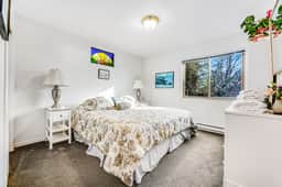 Cove House - Gualala cottage with private hot tub & ocean views near the bluffs - Image 5