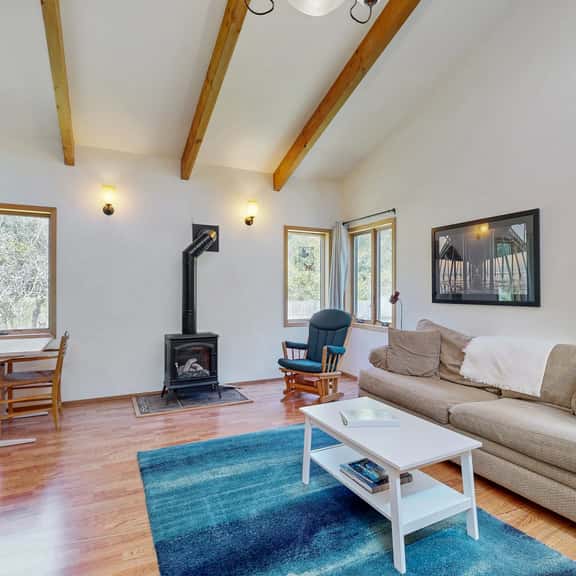 Loon's Landing - Hand-built Sea Ranch cabin with fireplace near Bluff Trail, dogs welcome - Image 1
