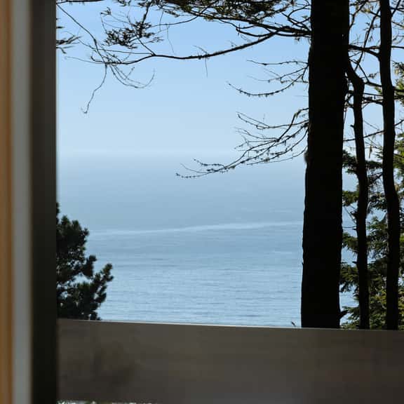Tree House - Sea Ranch home with deck & grill near Shell Beach, dogs welcome - Image 1