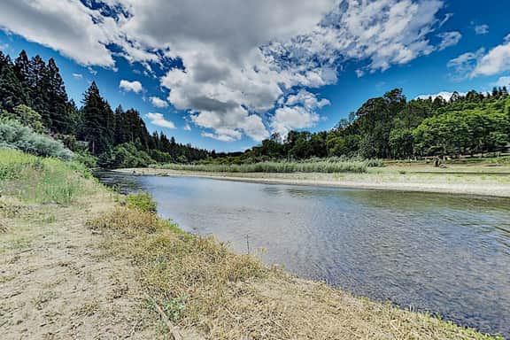 Villa Eileen - Guerneville Dog-Friendly Riverfront Cabin with Outdoor Kitchen - Image 4