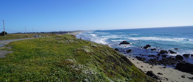 Things to Do in Bodega Bay, California